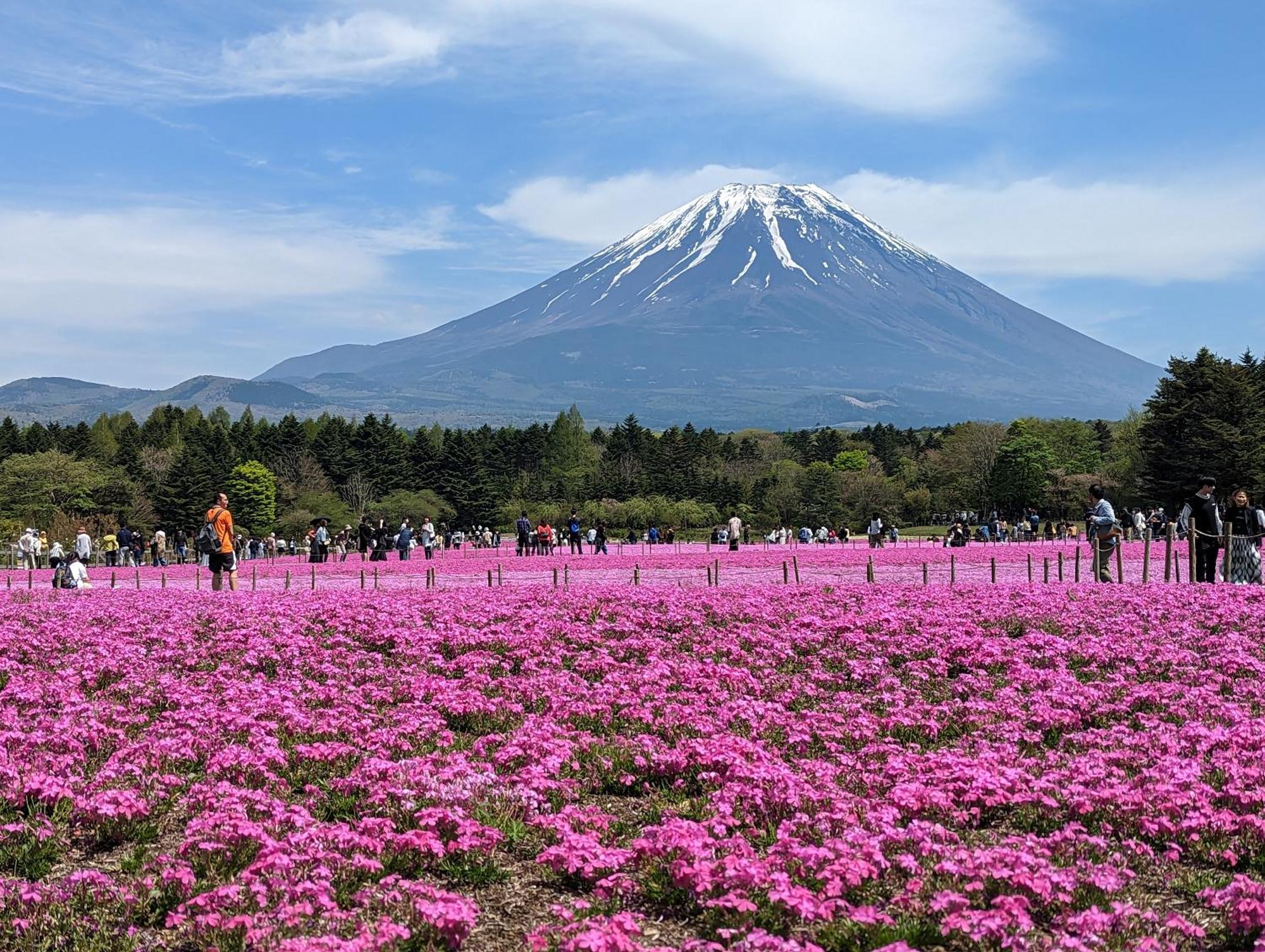 Willa Gate Yamanashi Tsuru Zewnętrze zdjęcie