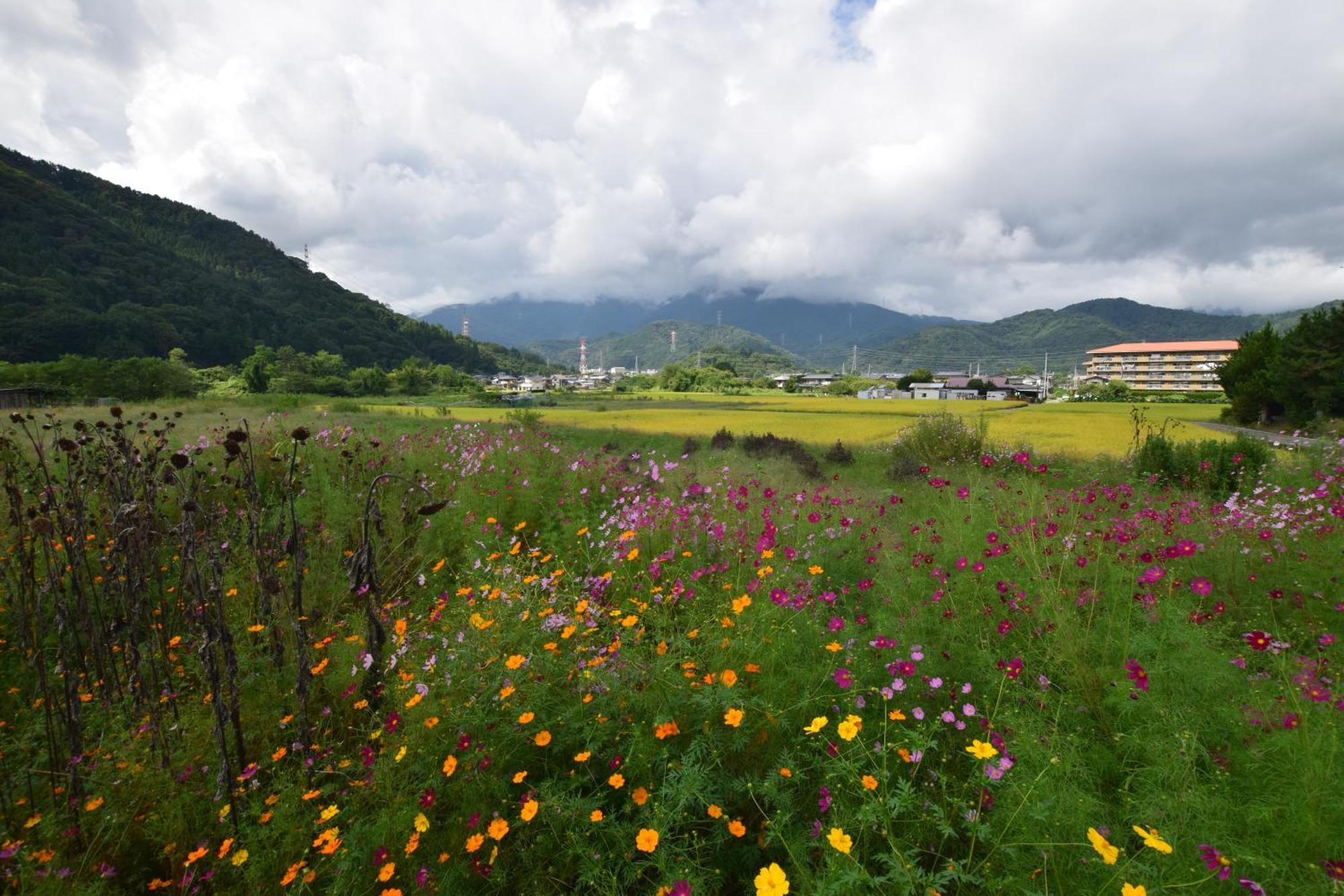 Willa Gate Yamanashi Tsuru Zewnętrze zdjęcie